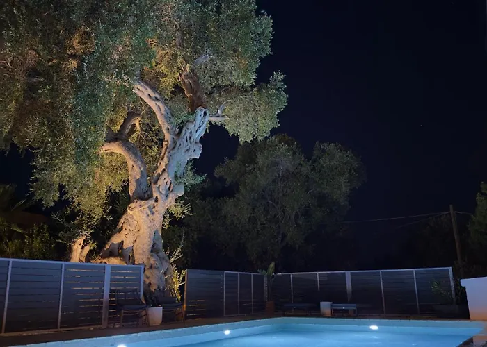 Paxos Dream House